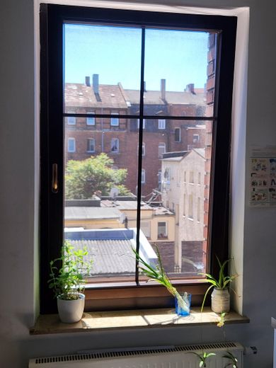 Light-filled old building apartment (5 rooms) by the city park - 4 spacious bedrooms and separate living room – Blick aus Küche