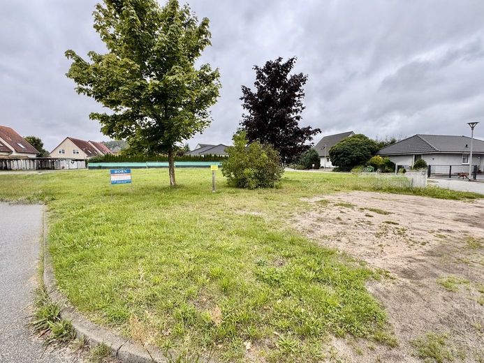 HORN IMMOBILIEN ++ Baugrundstück in Pasewalk, Einfamilienhaus oder zwei Doppelhaushälften – Grunstück in Pasewalk