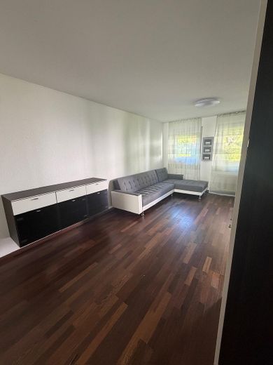 Komisyonsuz! Balkonlu ve EBK'li, tamamen mobilyalı, çekici ve yenilenmiş 2,5 odalı daire – Wohnzimmer