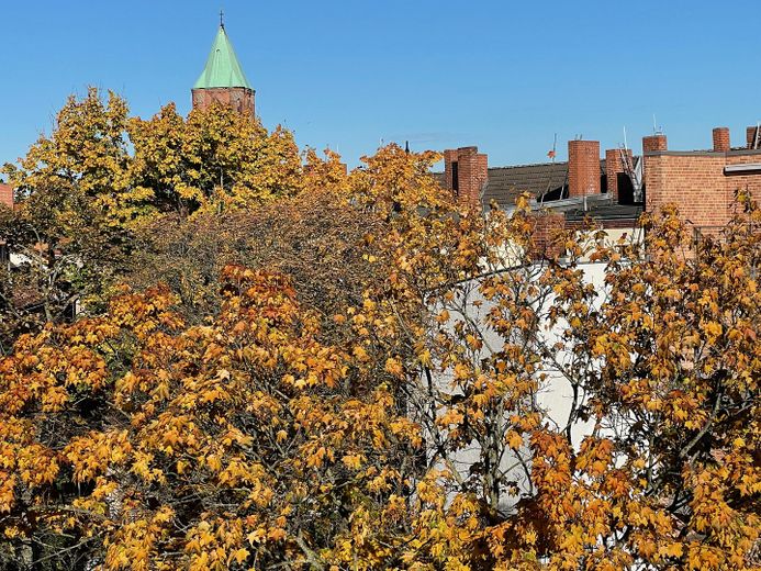 senza commissioni, appartamento di 3 locali ai margini di Berlino, posizione da sogno, terrazze soleggiate – Blick aus dem Badfenster