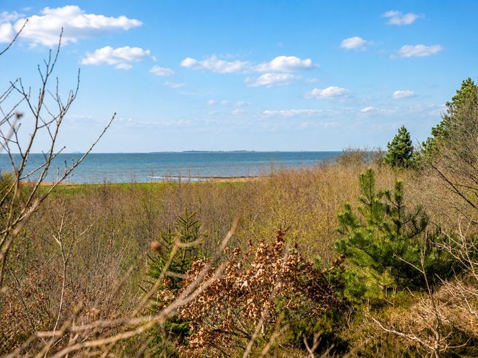 Nordsee-Auszeit mit Blick in die 
Natur - Ihr Ferienhaus in Spieka-Neufeld – Erholung zwischen Heide und Meer