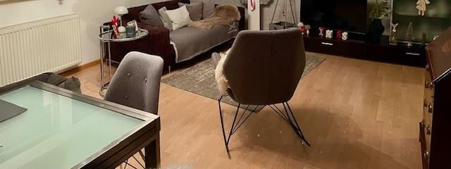 Lichte zolderwoning met loggia en inbouwkeuken – Wohn- / Esszimmer