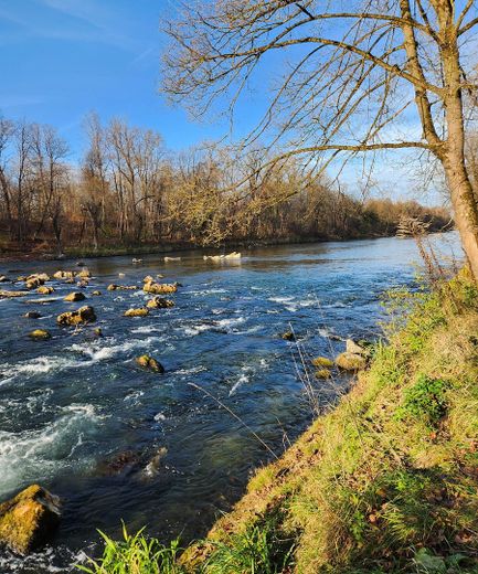 Isar nahe Wohnobjekt