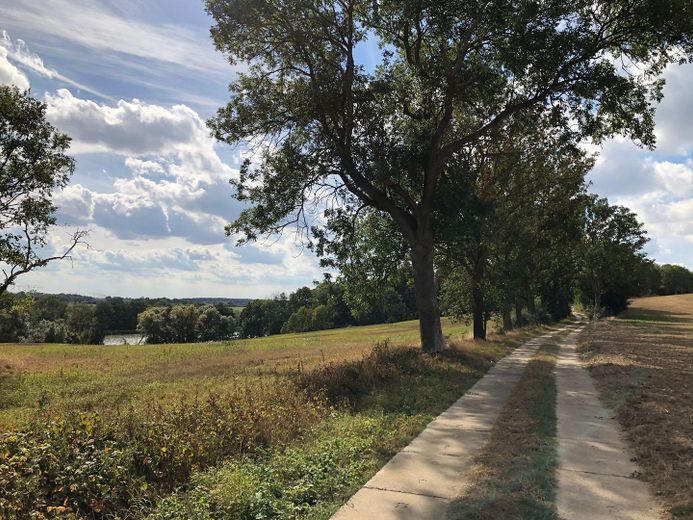 Dream property with house in the Uckermark – right in the biosphere reserve, water and forest – 10 Minuten zu Fuß zum See