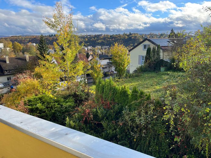 Aussicht  Balkon Südseite