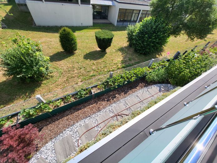 Garten 3