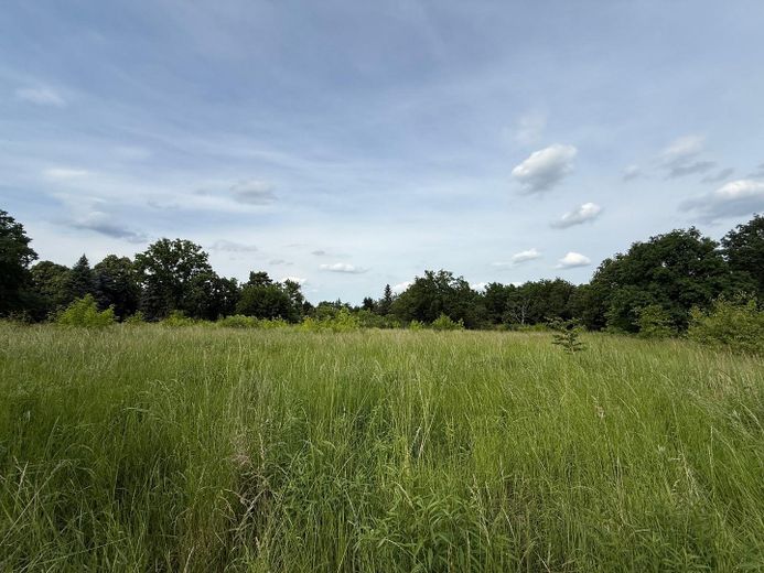 MAKLERFREI Projektstart sofort möglich: ca. 7.000 m² Gewerbegrundstück mit erteilter Baugenehmigung – Foto 13
