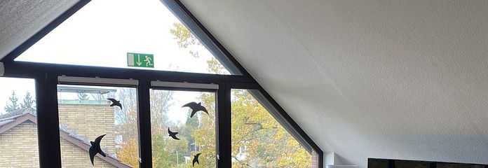 Attraktive 2-Zimmer-Maisonettewohnung in bevorzugter Wohnlage von Ratingen-Lintorf zu vermieten – Galerie