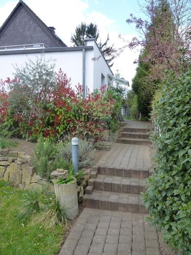 Weg zum Eingang (Stufen)