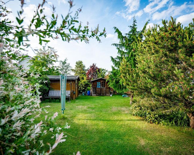 Blick in den Garten