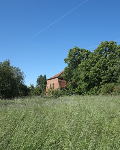 eines der letzten, erhaltenen SCHEUNENGUTSHÄUSER (mit 4-6 ha. Naturgrundstück) – Natur / Ruhe (unverbaubar)!