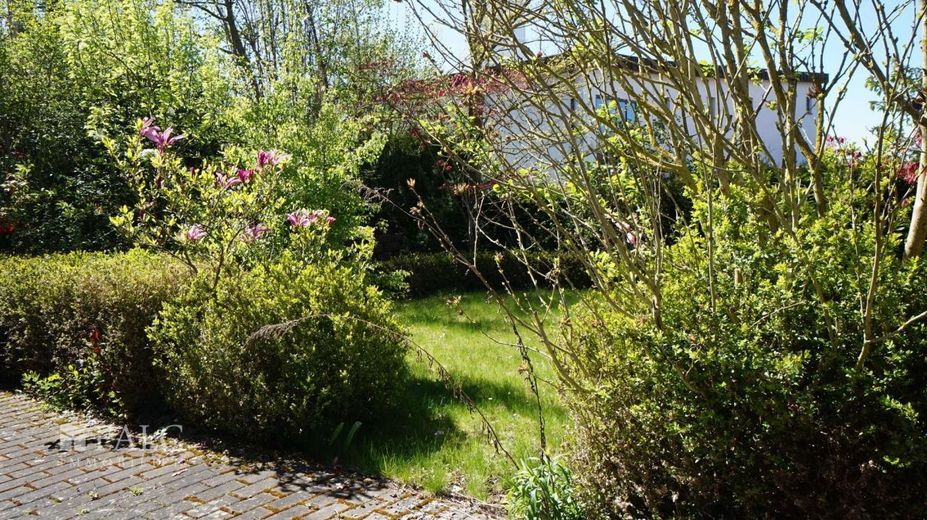 Ein Haus - 4 Wohnungen - ca. 555 m² Wfl. auf ca. 900 m² Grundstück von FALC-Immobilien Göttingen – Garten im hinterem Bereich