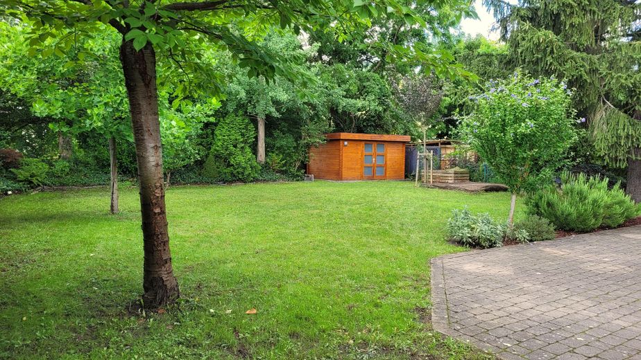Garten (2/3)