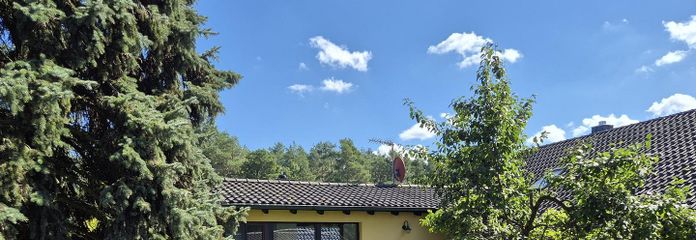 Blick auf Dachterrasse