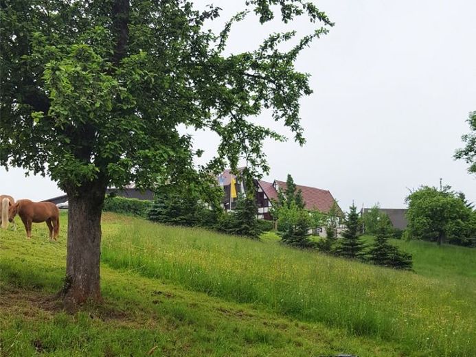 Dorfhain - Terreno con vista libera - Tra Tharandt e Dippoldiswalde – Foto 1