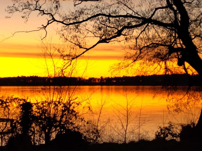 2 HÄUSER AM SEE: Stadtvilla+Cottage, Seezugang m. Bootssteg, Garten, Terrasse, Ferienwohnung – Abendstimmung am See