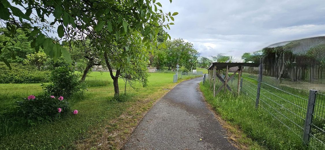 Teerstraße/Holzlager Ost