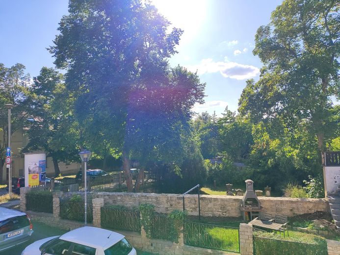 Schöner Wohnen am Park in Weimar - Haus kaufen Parkvorstadt – Aussicht jüdischer Friedhof