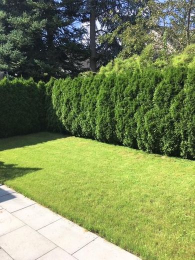 Blick in den Frühstücksgarten