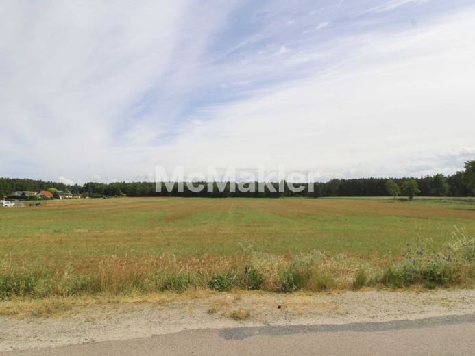Terrain agricole loué – terres cultivables et forêt – Photo 1