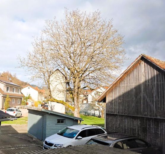 Super Lage: Attraktive 2 Zi, Kü, Bad, Keller, Trockenraum, Stellplatz, Garten zur Mitbenutzung – KFZ Stellplatz