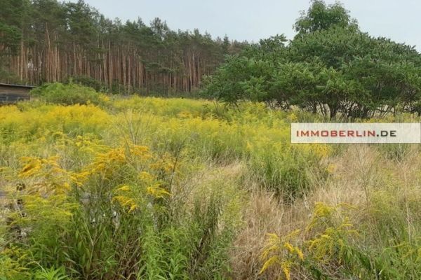 IMMOBERLIN.DE - Großartiges Baugrundstück beim Zernsdorfer Lankensee