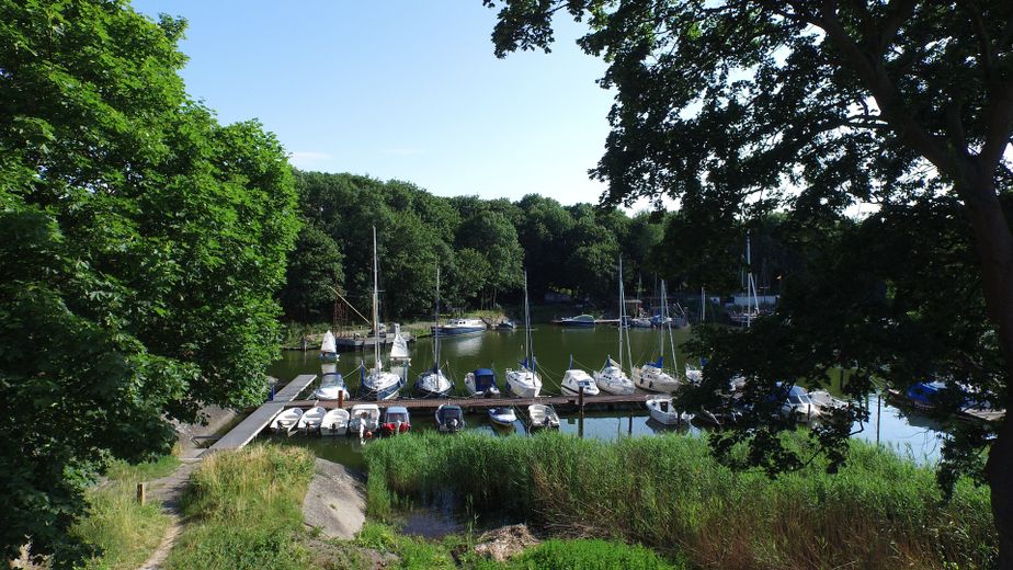 Wassergrundstück am Strelasund - Bauland – Foto 7