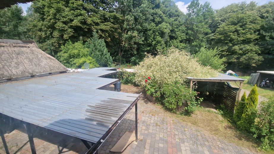 Blick von oben auf Garten