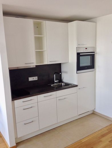 Einziehen und Wohlfühlen: Neubau-Standard in Frankfurt-Riedberg – Küchenzeile