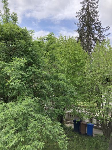 Gemütliche möblierte Wohnung mit Blick ins Grüne – Balkon Ausblick rechts