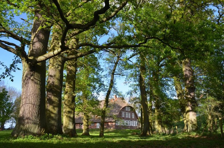 PROVISIONSFREI: Historisches Reetdach-Anwesen am Elbdeich – Denkmalgeschützt – Grundstück Frühling