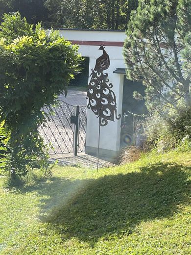 Historisches Wohnen im Park, Seenähe, gute Lage - von Privat – Impressionen
