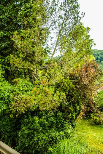 Blick vom Balkon Süd-Ost