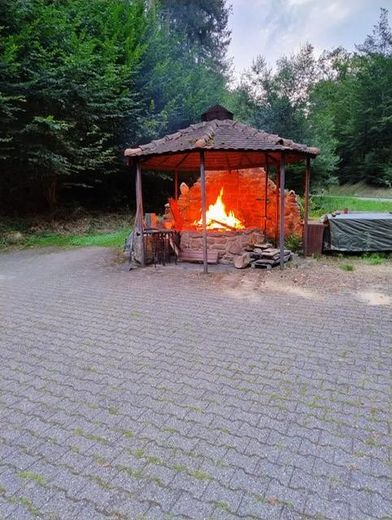 Alleinlage im Pfälzer Wald - hier ist alles ist hier möglich. – Grillplatz