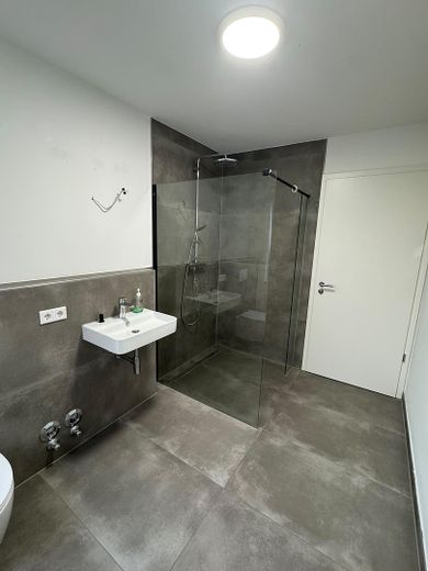 EG-Wohnung mit Terrasse und Garten Röllinghausen – Badezimmer 