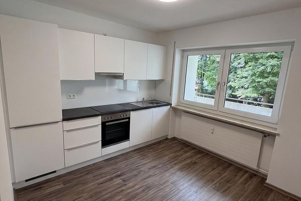Fully renovated 3-room apartment with kitchen and sunny balcony