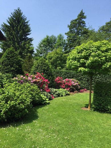 Garten Südwest Seite