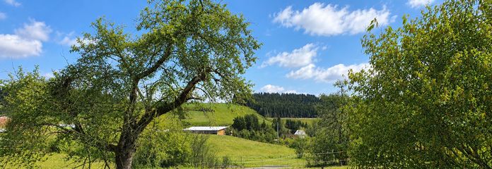 2.443 m² Baugrundstück mit positivem Bauvorbescheid – viel Platz & Weitblick – Blick nach Osten ins Grüne