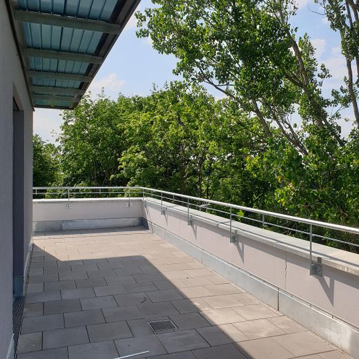 4-Zimmer- Penthouse-Wohnung mit riesiger Dachterrasse – Dachterrasse