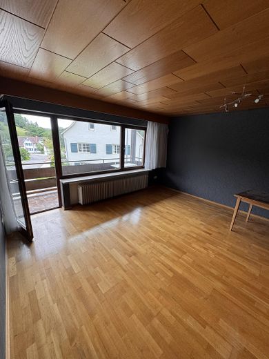 Wohn- Esszimmer Zweitwohnung 