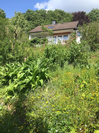 Blick aus Garten aufs Haus