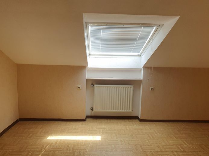 Zimmer DG 