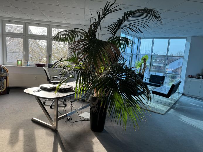 helles, modernes Büro in verkehrsgünstiger und dennoch ruhier Lage zu vermieten – Büro
