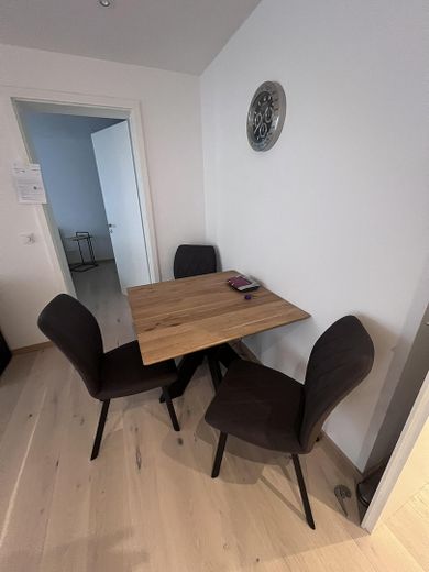 Möblierte, helle und lichtdurchflutete 2-Zimmer-Wohnung in begehrter Altstadtlage – Wohnraum