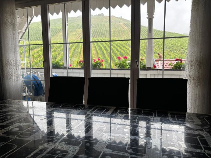Provisionsfrei! Panoramablick direkt an den Weinbergen Untertürkheims – Foto 3