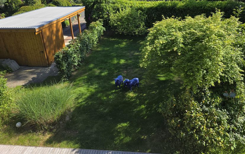 Freistehendes Einfamilienhaus mit Südgarten in ruhiger Lage von Hamburg-Volksdorf – Blick von der Loggia