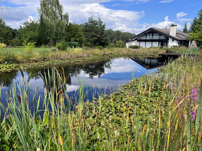 2 Häuser einzeln oder zusammen auf großem Grundstück – Haupthaus mit Teich