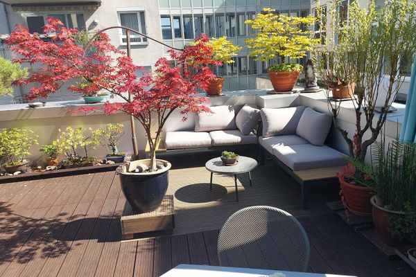 Attraktive helle 3-Zimmer-Wohnung im Zentrum von Darmstadt mit außergewöhnlicher Dachterrasse