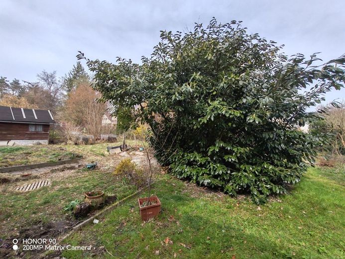 Freistehendes Einfamilienhaus in Kraiburg am Inn – Garten 1