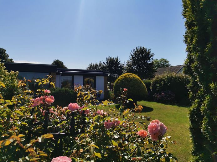 Gepflegter Bungalow mit parkähnlichem Garten – Garten